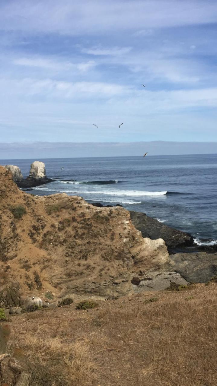 Conviento De Lobos * Pichilemu
